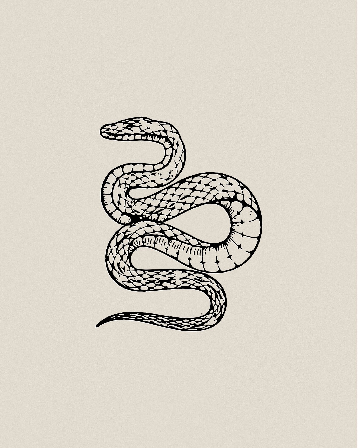 Vintage tattoo-flash style line illustration of a coiled snake