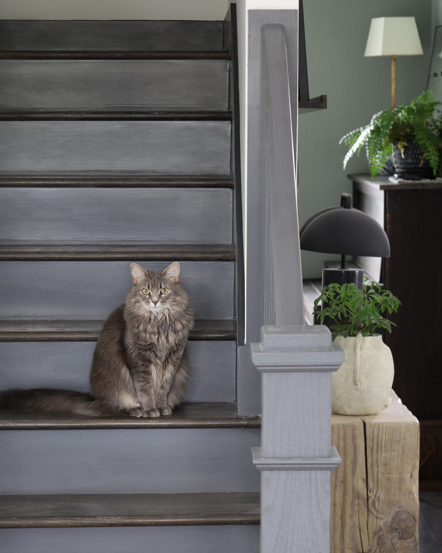 Photo of a cat sitting on a painted staircase for the Semimade Home brand